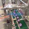 Otomasyon Plastik Kapak Wadding Makinesi Kapağı Liner Wad Conta Ekleme Makine Tedarikçisi